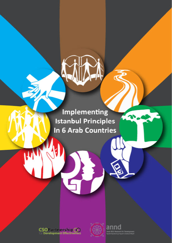 Istanbul-Principles-In-6-Arab-Countries-COVER